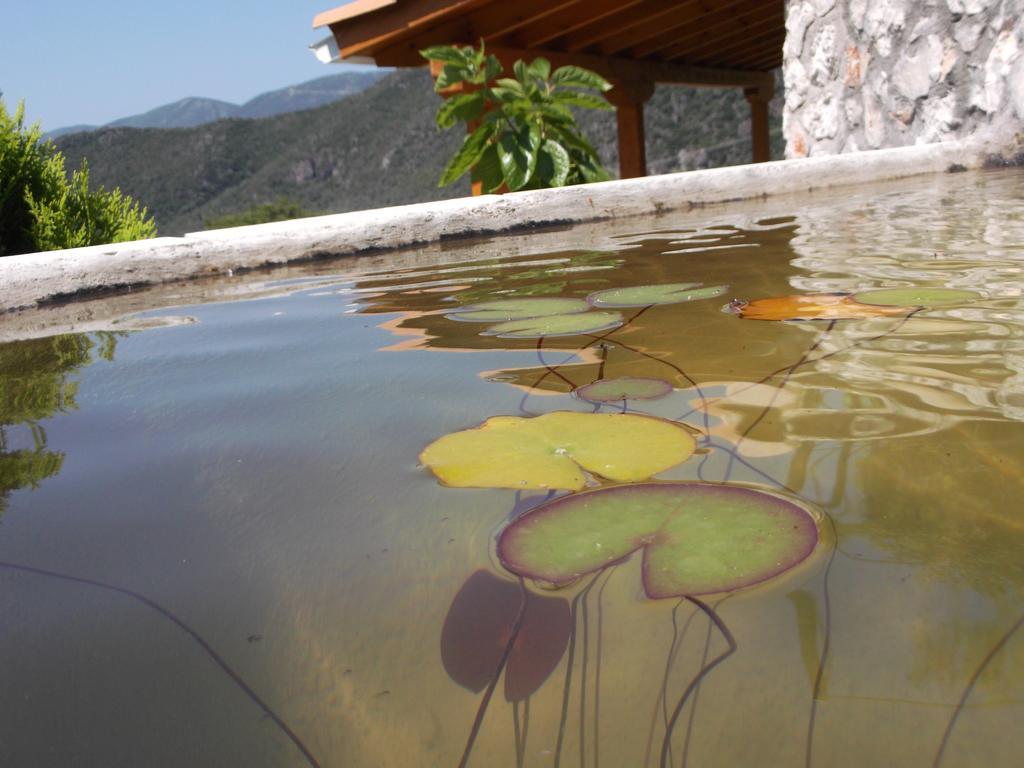Sivros Stone Cottages Экстерьер фото
